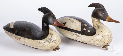 Pair of carved and painted merganser decoys