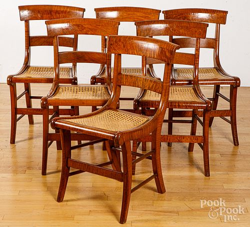 Set of six classical tiger maple sabre leg chairs