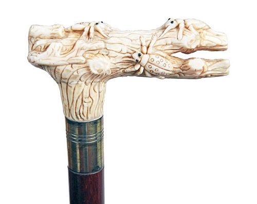 Insect Bone Cane