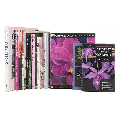 Books on Orchids. The Slipper Orchids / Gardener's Guide to Growing Orchids / Ultimate Orchid / African Orchids... Pieces: 10.