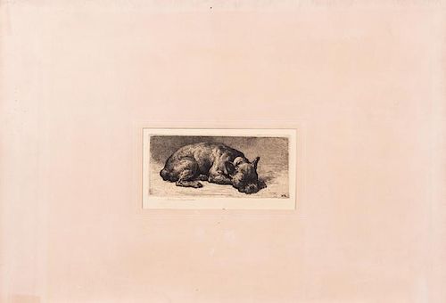Herbert Dicksee (British, 1862-1942) A French Bulldog Asleep, Etching,