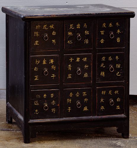 Asian Style Black Lacquer Apothecary Cabinet