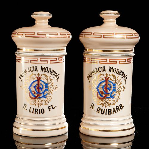 Pair "Farmacia Moderna" porcelain apothecary jars