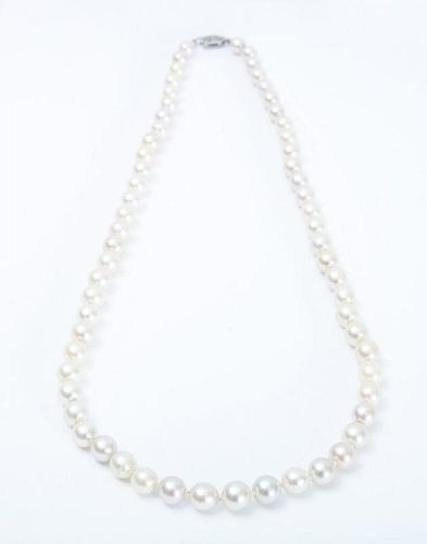 SINGLE STRAND CULTURED PEAL NECKLACE