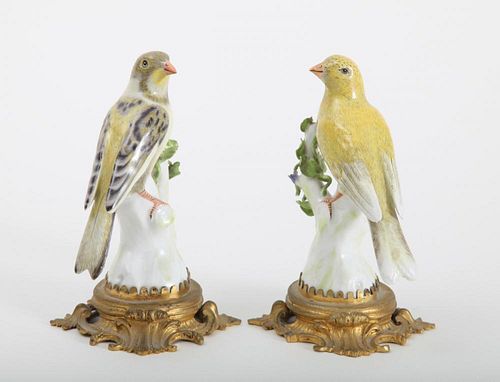 PAIR OF GERMAN PORCELAIN SONG BIRD MODELS, ON LOUIS XV STYLE GILT-METAL BASES