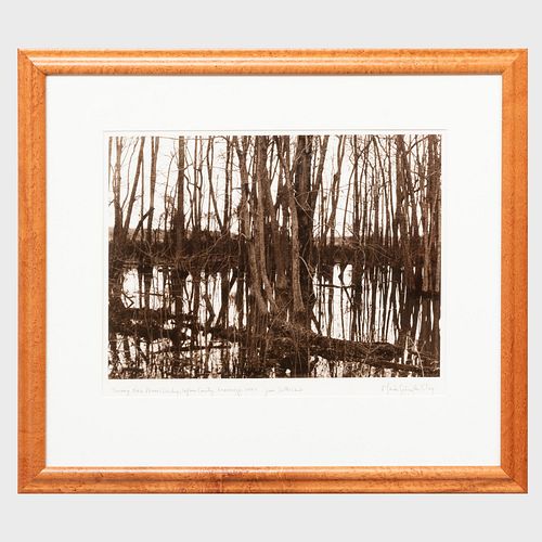 Maude Schuyler Clay (b. 1953): Swamp Near Moore's Landing, Leflore County, Mississippi