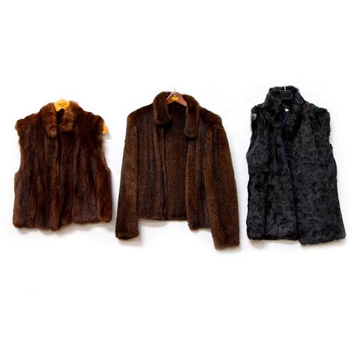 Three Brown Ladies Furs