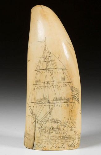SCRIMSHAW-DECORATED WHALE'S TOOTH