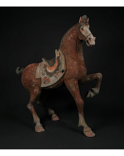 HUGE CHINESE TANG TERRACOTTA HORSE - TL TESTED