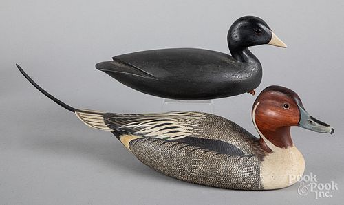 Two decoys