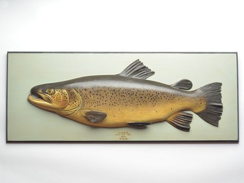 Farlow/Fochabers Co. record brown trout trophy fish.