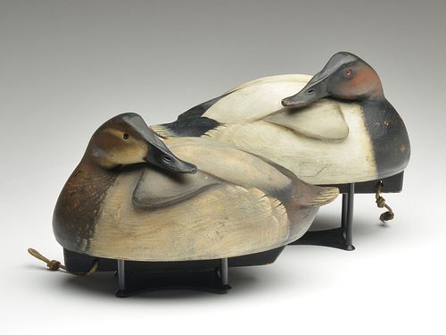 Rigmate pair of canvasbacks, Jim Schmiedlin, Bradfordwoods, Pennsylvania.