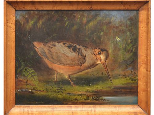 Oil on canvas of woodcock, Wakeman Holburton.