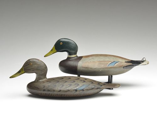 Outstanding and important rigmate pair of mallards, Harvey Stevens, Weedsport, New York.