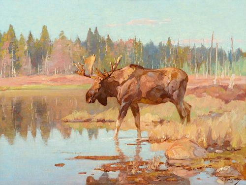Carl Rungius (1869-1959), Moose in Marshland