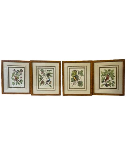 (4) Four Floral Design Bird Prints