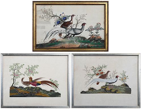 Three Chinese Export Paintings of Exotic Birds