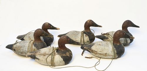 Rig of 14 Decoys by