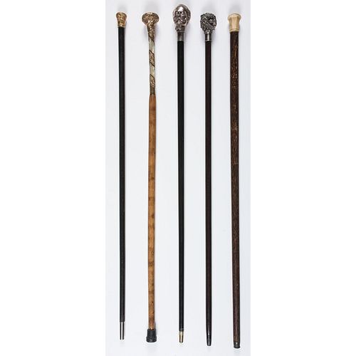 A Group of Walking Sticks