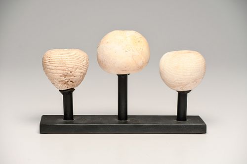 Ancient Egyptian Pre-Dynastic Alabaster Mace Heads (3) Chalcolithic period, Bronze Age II,