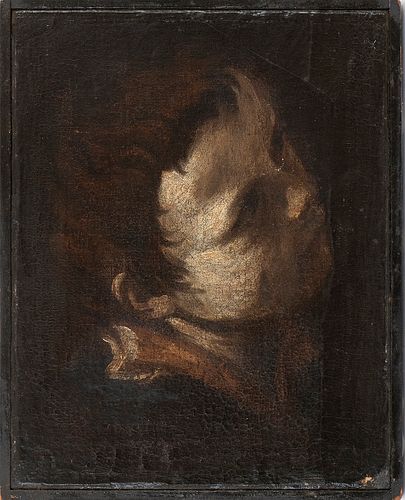 DONATO CRETI (Cremona, 1671 - Bologna, 1749), ATTRIBUTED TO   - Head of young boy
