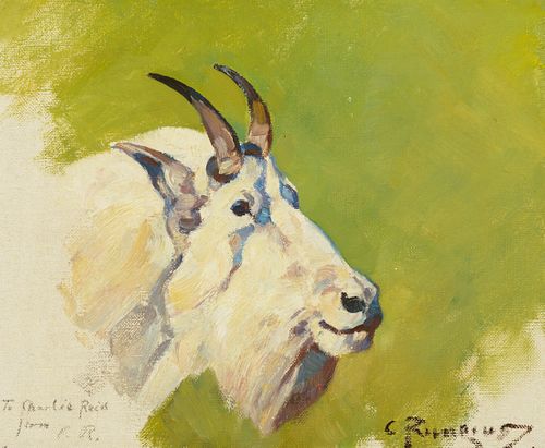 Carl Rungius (1869-1959); Mountain Goat