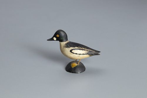 Miniature Goldeneye Drake, A. Elmer Crowell (1862-1952)
