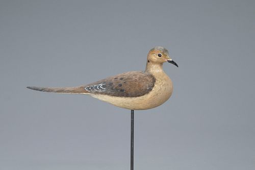 Life-Size Dove, John Vulcani