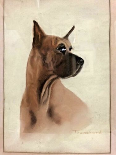 PASTEL OF A GREAT DANE/DOG  SIGNED TRENCHARD