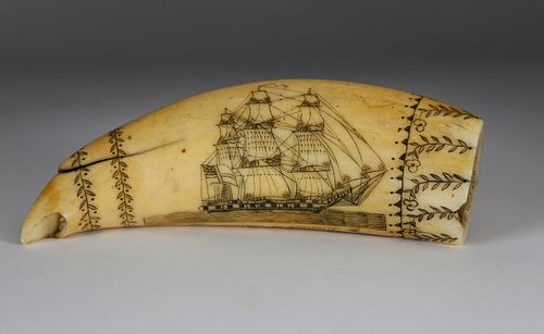 Scrimshaw Whale Tooth Daniel of London by the Britannia Engraver