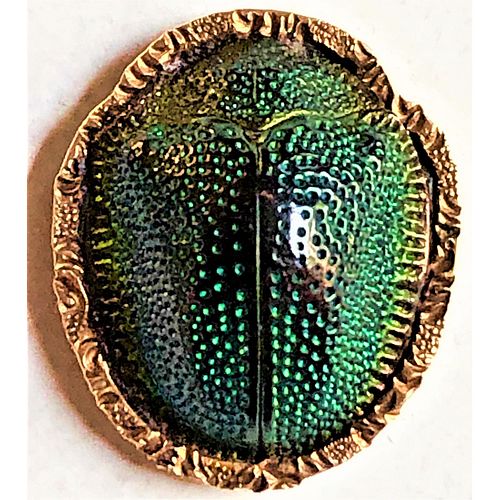 A REALISTIC AND PETRIFIED GENUINE SCARAB BUTTON