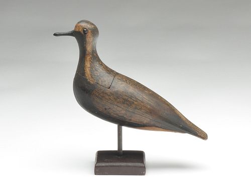 Hollow carved black bellied plover from Massachusetts, last quarter 19th century.