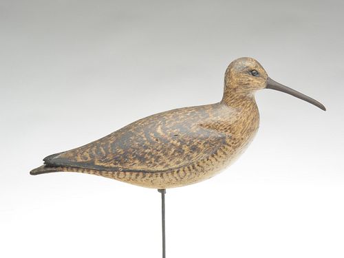 Important hollow carved "jack" curlew, William Bowman, Lawrence, Long Island, New York, last quarter 19th century.