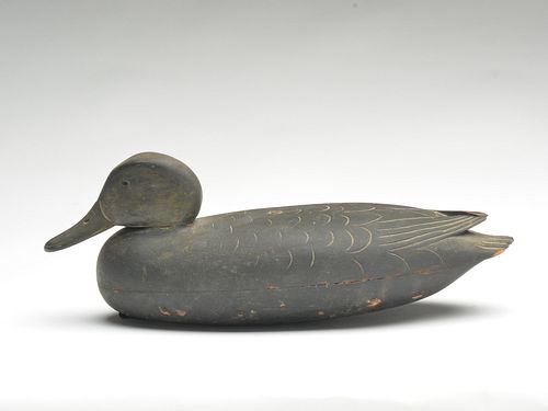 Early hollow carved black duck from the Delaware river, last quarter 19th century.