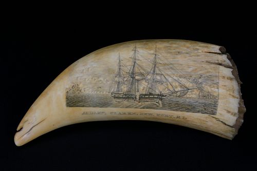 Fine Scrimshaw Sperm Whale Tooth “The Audley Clarke of Newport, Rhode Island“, circa 1840