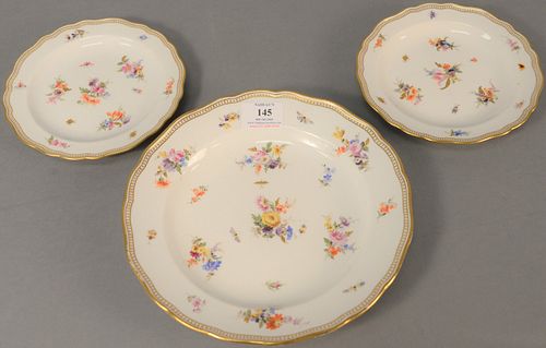 Set of thirteen Meissen dessert plates, dia. 7" with a serving plate, dia. 9 1/2". Estate of Tom & Alice Kugelman.