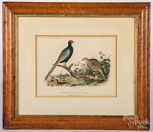 Two color bird lithographs