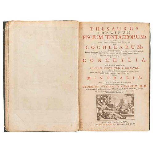 Rumphius, Georgius Everhardus. Thesaurus Imaginum Piscium Testaceorum. Lugduni: Petrum Vander Aa, 1711. 60 sheets.