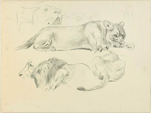 Wilhelm Lorenz<br><br>Lions, XX Century<br>Drawing in pencil on ivory-colored paper, 29.7 x 39.8 cm<br>Lions is a beautiful original drawing in pencil
