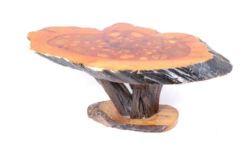 Lacquer Shell & Sand Dollar Burl Stump Table