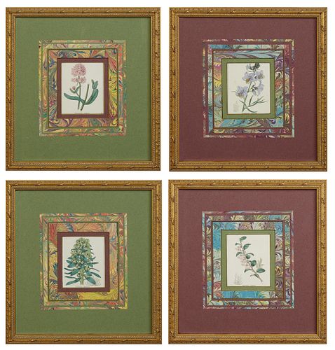 Four Vintage Botanical Prints, early 20th c., consisting of "Valertanella congesta," "Pelemonium caeruleum," "Vaccinium Ovatum," and...