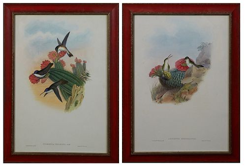 John Gould and H. C. Richter, "Cyanoma Violiceps," and "Leucippus Chionagaster," 20th c., pair of colored hummingbird prints, after...