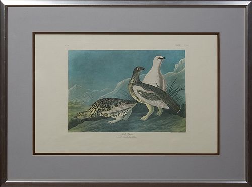 John James Audubon (1785-1851), "Rock Grous," No. 74, Plate 368, Amsterdam Edition, presented in a silvered wood frame with a wide m...