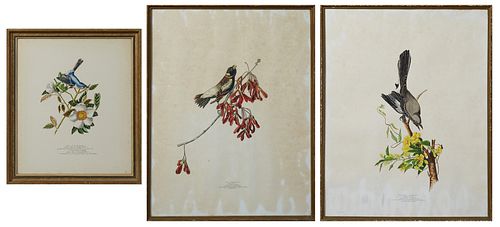 Lois J. Lester (New Orleans), Group of Three Watercolor Copies of John James Audubon, 20th c., consisting of "Blue-Gray Gnatcatcher...