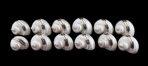 SET, 12 SEASHELL & SILVER PLACE CARD HOLDERS