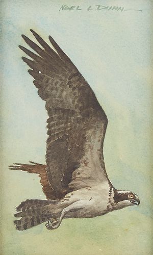Noel L. Dunn "Falcon" Watercolor