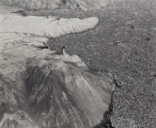 Frank Gohlke "Aerial View: Logs and Debris" Photograph