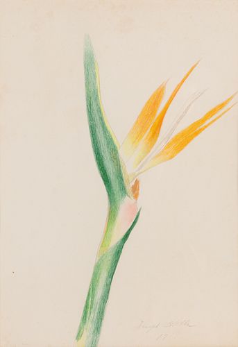 Joseph Stella
(American, 1877-1946)
Bird of Paradise, 1911