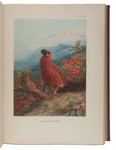 BEEBE, Charles William (1877-1962). A Monograph of the Pheasants. London: Witherby & Co., 1918-1922. 