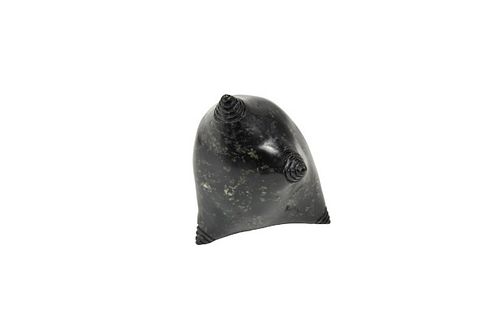 Black Enhanced Meteorite